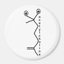 Azetylcholinmagnet Kühlschrankmagnete