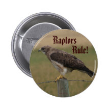 B0010 Swainsons Falke Anstecknadelbutton