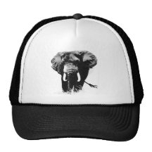 B&W Elefant Baseballcaps