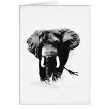 B&W Elefant Grußkarte
