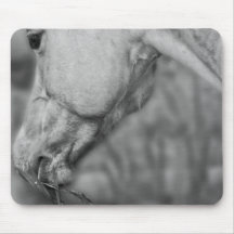 B&W Pferdekopf ~ Mousepad