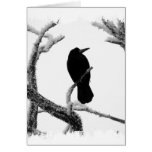 B&W Winter-Rabe Edgar Allan Poe Grußkarten