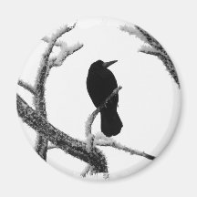 B&W Winter-Rabe Edgar Allan Poe Kühlschrankmagnete