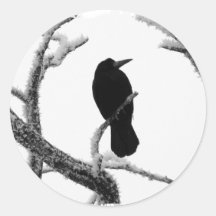 B&W Winter-Rabe Edgar Allan Poe Sticker
