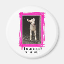 Baaahhd Kühlschrankmagnete