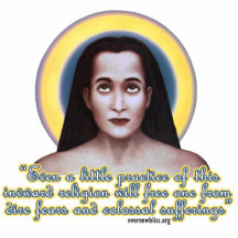 Babaji Foto-Skulptur MB01 Acrylausschnitt