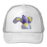Baby-Blau-Iris Baseball Caps