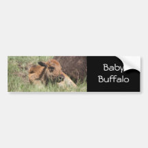 Baby-Büffel-Autoaufkleber