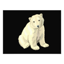 Baby-Eisbär Foto Drucke