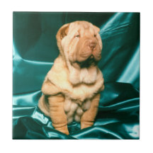 Baby-Gesicht Pei Kacheln