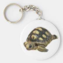 Baby Ghopher Schildkröte Schlüsselbänder