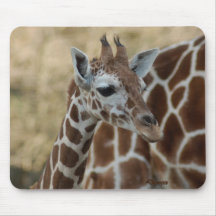 Baby-Giraffe 03 Mauspad