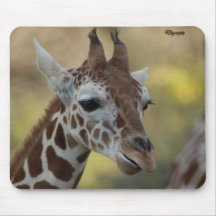 Baby-Giraffe 09 Mauspads