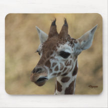 Baby-Giraffe 13 Mauspads