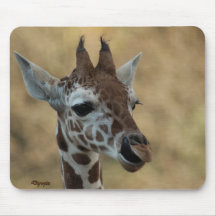 Baby-Giraffe 14 Mauspad