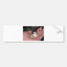 baby_hamster_eating_chips auto aufkleber