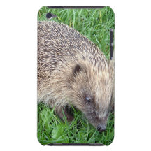 Baby-Igel iTouch Fall Barely There iPod Case