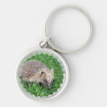 Baby-Igel Keychain Schlüsselband