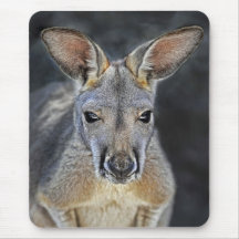 Baby Joey rote Känguru-Nahaufnahme Mousepads