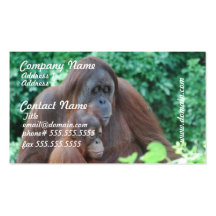 Baby-Orang-Utan mit Mutter-Visitenkarten
