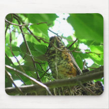 Baby-Robin ~ mousepad