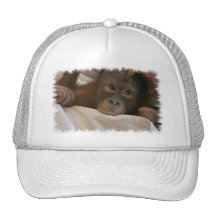 Baby-Schimpanse-Baseball-Mütze