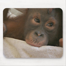 Baby-Schimpanse Mousepad