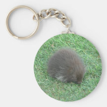 Baby-Stachelschwein Schlüsselband