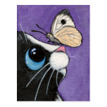 Baby und das große Weiß - Katzen-Postkarte