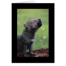 Baby-Wolf-Heulen Grußkarten