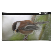 Babychickadee-Foto