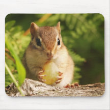 BabyChipmunk mit Imbiss Mauspad