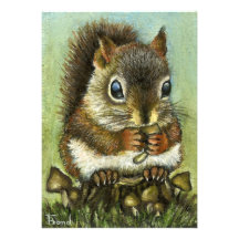 Babyeichhörnchen Ankündigungen