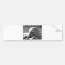 Babyelefant Auto Sticker