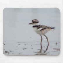 BabyKilldeer Mousepad