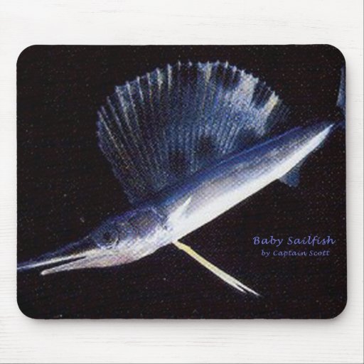 Babysegelfisch Mousepad