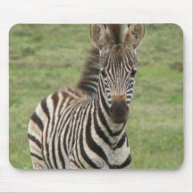 Babyzebra-Mausunterlage Mousepad