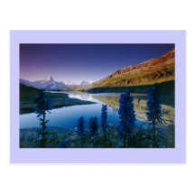Bachalpsee Bern Postkarten