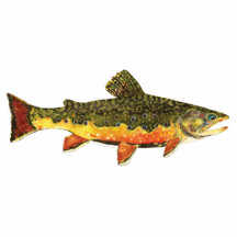 Bachforelle-Fisch-Malerei Fotofigur