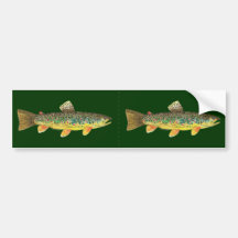 Bachforelle-Fischen Auto Aufkleber