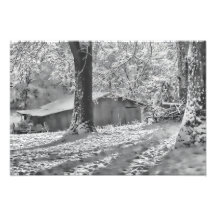 Backlit ländliche Schnee-Schwarzweiss-Szene Photographischer Druck