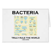 Bakterien ordnen wirklich die Welt an (Morphologie Karten