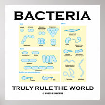 Bakterien ordnen wirklich die Welt an (Morphologie Posterdrucke