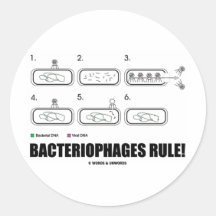 Bakteriophage-Regel! (Bakterien-Virus DNS) Runde Aufkleber