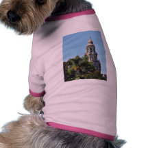Balboa parkt Türme Haustiershirt