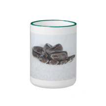 Ball-Pythonschlangebecher Kaffee Haferl