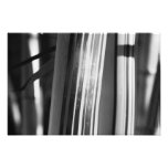 Bambusnahaufnahme Kunstphotos