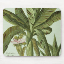 Banane, von Phytanthoza Iconographi J.weinmanns Mauspad