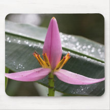Bananen-Blume Mousepad