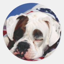 Bandit der Boxer Runde Aufkleber